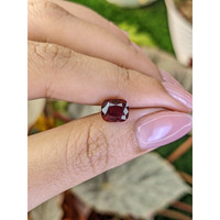 2.66 Ct. Purplish Red Rhodolite Garnet from Ceylon (Sri Lanka) Life Style