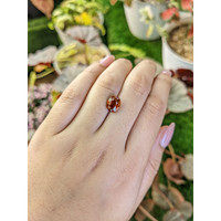 2.64 Ct. Orange Hessonite Garnet from Madagascar Life Style