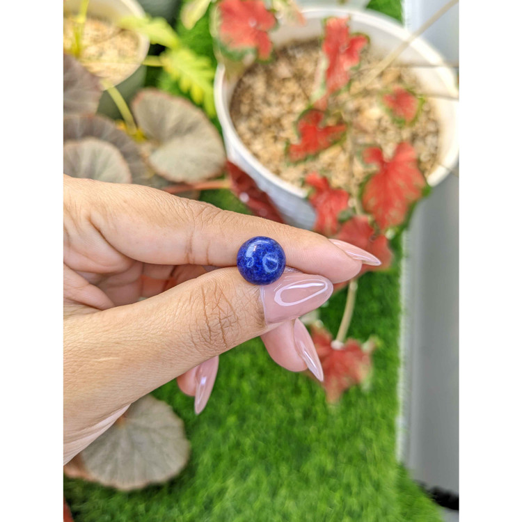 6.80 Ct. Cabochon Lapis from Afghanistan
