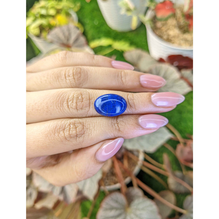 9.01 Ct. Cabochon Lapis from Afghanistan