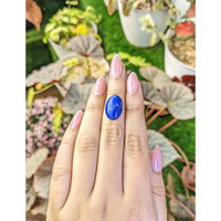 6.26 Ct. Cabochon Lapis from Afghanistan Life Style