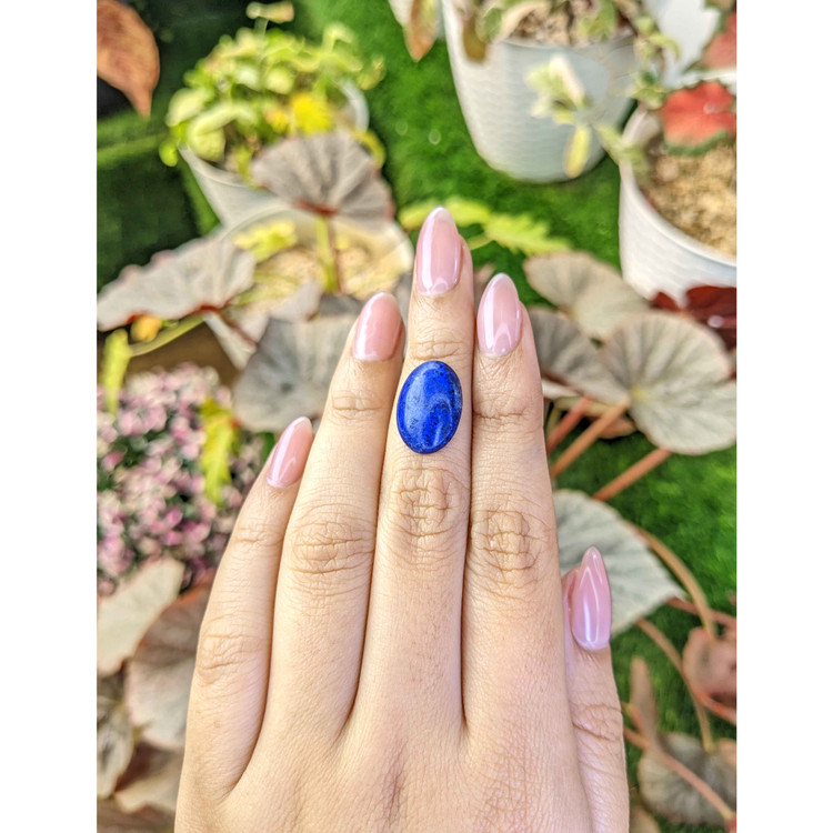 6.26 Ct. Cabochon Lapis from Afghanistan