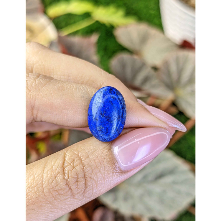 6.26 Ct. Cabochon Lapis from Afghanistan