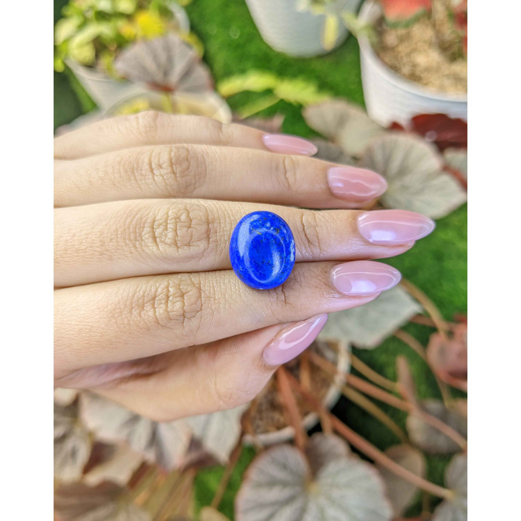 15.64 Ct. Cabochon Lapis from Afghanistan