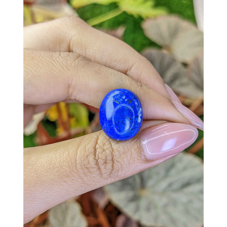 15.64 Ct. Cabochon Lapis from Afghanistan