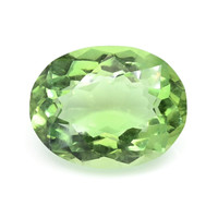 16.91 Ct. Green Prasiolite from Brazil Video