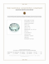 13.93 Ct. Mint Green Prasiolite from Brazil Scan Report