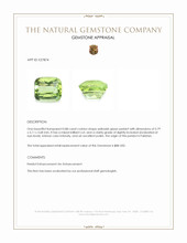 0.88 Ct. Yellowish Green Peridot from Pakistan Appraisal