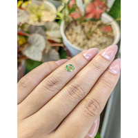 0.82 Ct. Green (Lime Green) Peridot from Ceylon (Sri Lanka) Life Style
