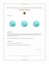 19.02 Ct. Cabochon Turquoise from Persia Appraisal