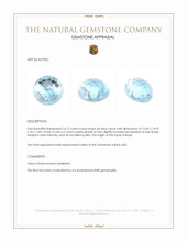 16.77 Ct. Sky Blue Topaz from Brazil Appraisal