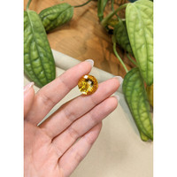 14.31 Ct. Yellow Citrine from Brazil Life Style