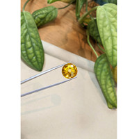 14.31 Ct. Yellow Citrine from Brazil Life Style