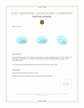 16.99 Ct. Cabochon Turquoise from Persia Appraisal