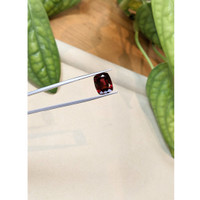 8.38 Ct. Purplish Red Rubellite Tourmaline from Brazil Life Style