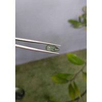 2.87 Ct. Cabochon Alexandrite from Russia Life Style