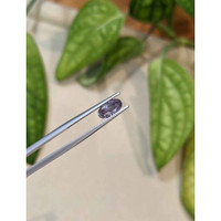 1.43 Ct. Alexandrite from Russia Life Style