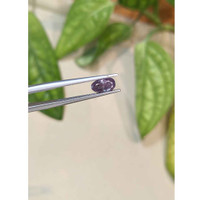 1.20 Ct. Alexandrite from Russia Life Style