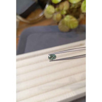1.08 Ct. Alexandrite from Russia Life Style