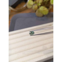 1.08 Ct. Alexandrite from Russia Life Style
