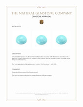 16.68 Ct. Cabochon Turquoise from Persia(Iran) Appraisal