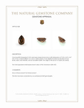 2.40 Ct. Brown Zircon from Ceylon (Sri Lanka) Appraisal