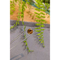 3.83 Ct. Orangish Yellow Citrine from Bolivia Life Style