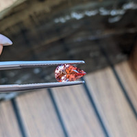 1.03 Ct. Pinkish Orange Imperial Topaz from Brazil Life Style
