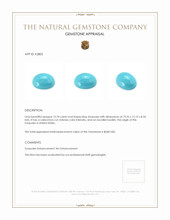 13.70 Ct. Cabochon Turquoise from United States Appraisal