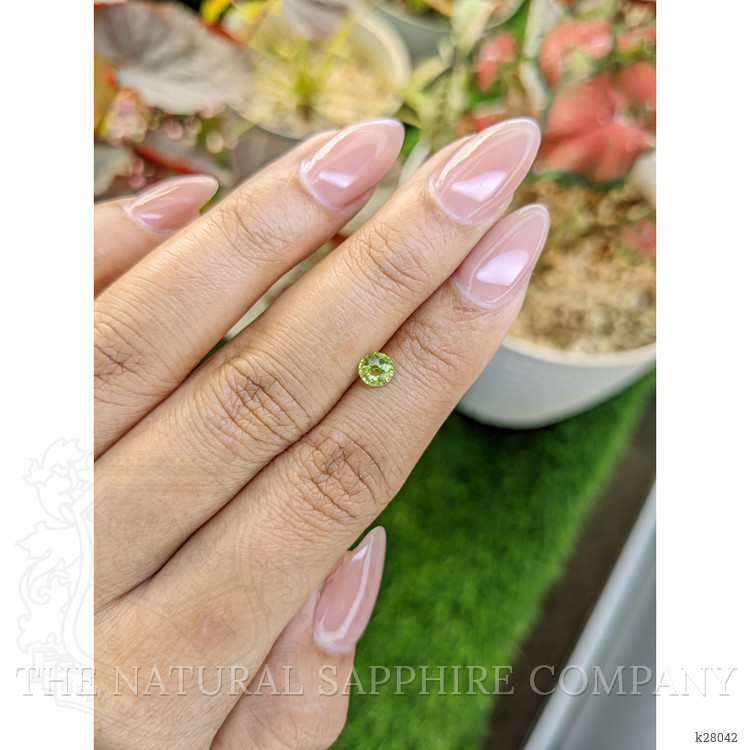 0.47 Ct. Yellowish Green Peridot from Pakistan