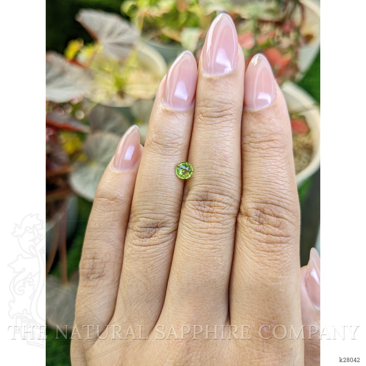 0.47 Ct. Yellowish Green Peridot from Pakistan