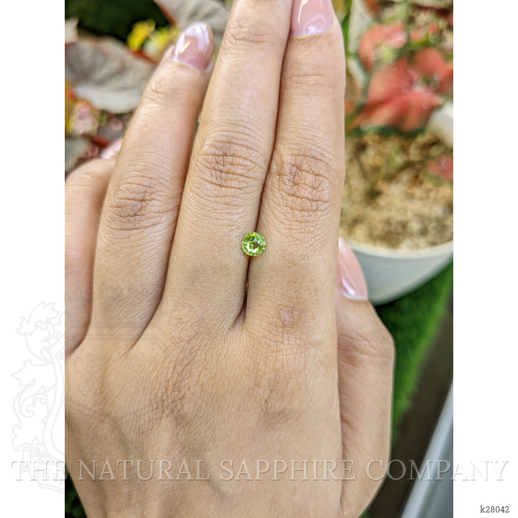 0.47 Ct. Yellowish Green Peridot from Pakistan