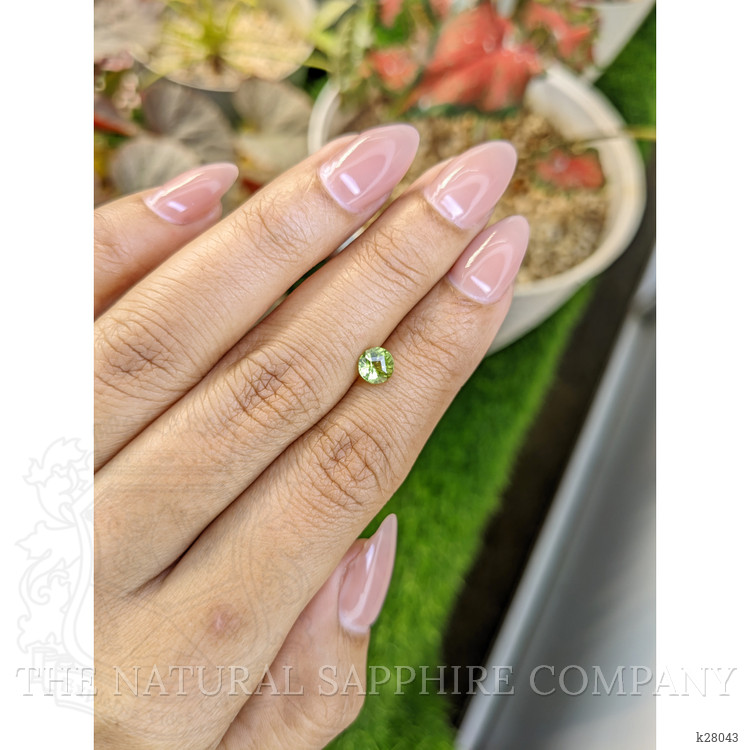 0.64 Ct. Yellowish Green Peridot from Pakistan
