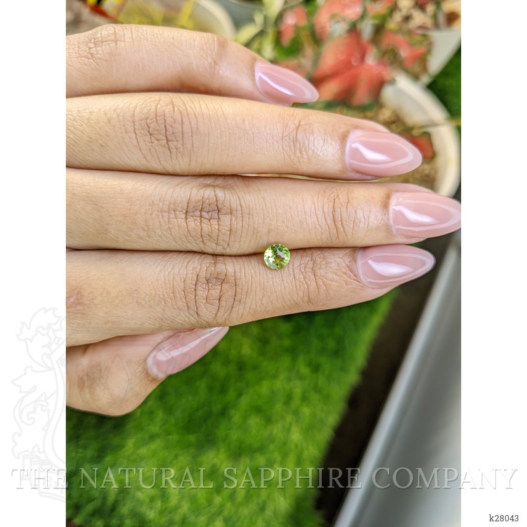 0.64 Ct. Yellowish Green Peridot from Pakistan
