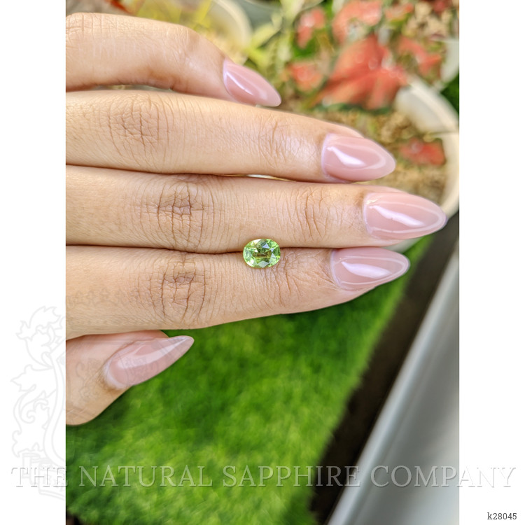1.27 Ct. Yellowish Green Peridot from Pakistan