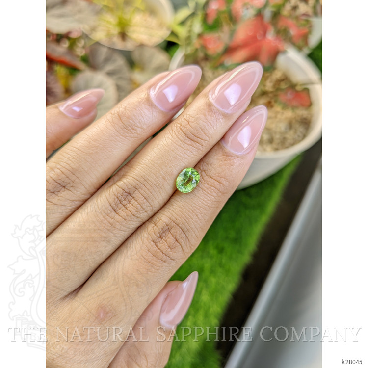 1.27 Ct. Yellowish Green Peridot from Pakistan