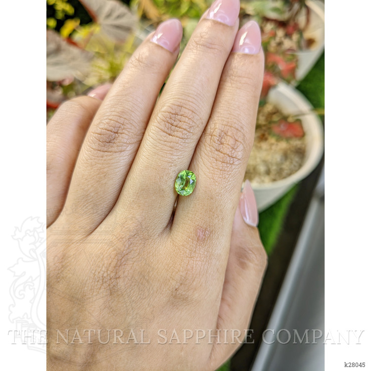 1.27 Ct. Yellowish Green Peridot from Pakistan