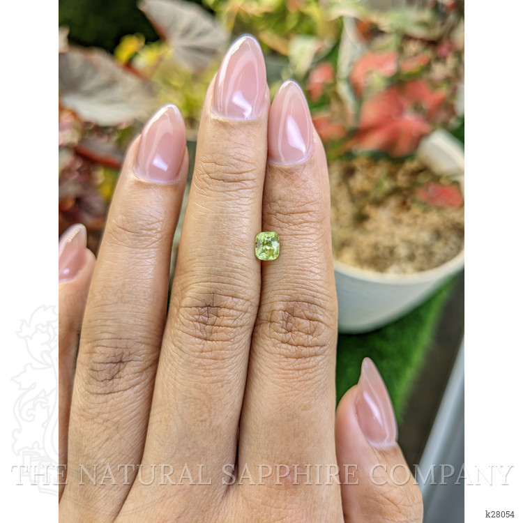 0.65 Ct. Yellowish Green Peridot from Pakistan