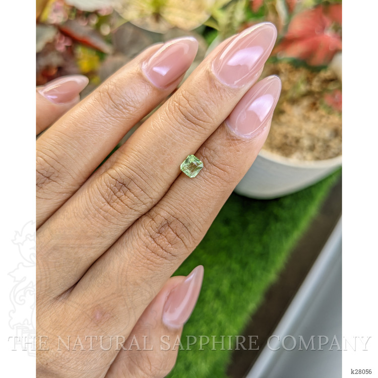 0.49 Ct. Yellowish Green Peridot from Pakistan