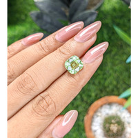 3.99 Ct. Green Grossular Garnet from Tanzania Life Style
