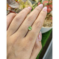 0.96 Ct. Green (Lime Green) Peridot from Pakistan Life Style