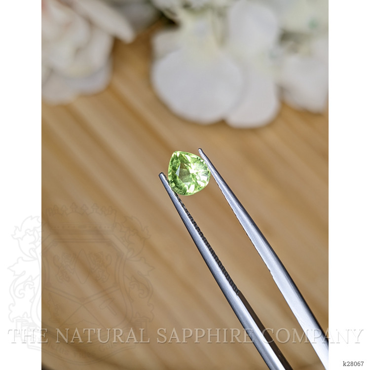 0.96 Ct. Green (Lime Green) Peridot from Pakistan