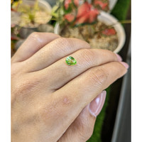 1.15 Ct. Yellowish Green Peridot from Pakistan Life Style