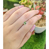 0.59 Ct. Green (Lime Green) Peridot from Pakistan Life Style