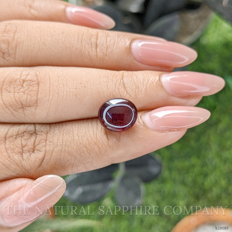6.17 Ct. Reddish Brown Star Garnet from Ceylon (Sri Lanka)