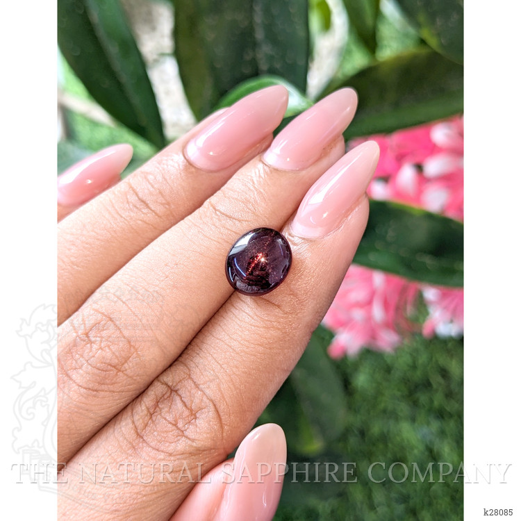 6.17 Ct. Reddish Brown Star Garnet from Ceylon (Sri Lanka)