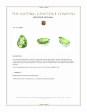 1.03 Ct. Green (Lime Green) Peridot from Pakistan Appraisal