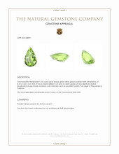 1.06 Ct. Green (Lime Green) Peridot from Pakistan Appraisal