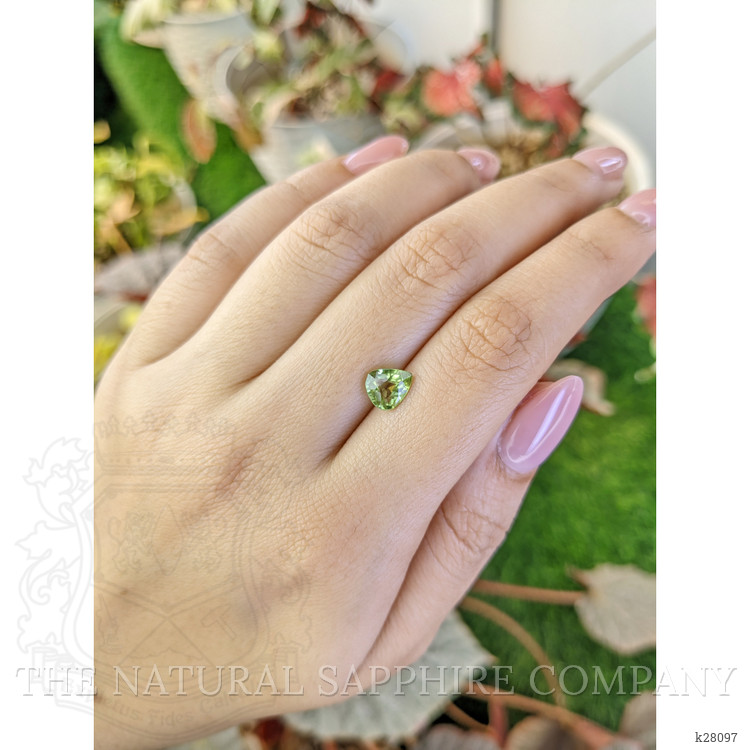 1.06 Ct. Yellowish Green Peridot from Pakistan
