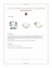 3.13 Ct. Greenish Blue Beryl from Ceylon (Sri Lanka) Appraisal